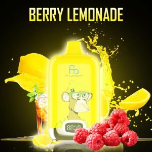 Berry Lemonade
