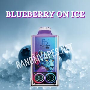 Blueberry on Ice